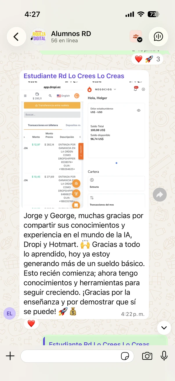 Material del caso de Holger